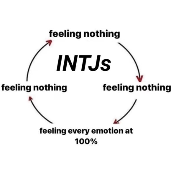 Meet your Posher, Katherine - Picture 5 of 8